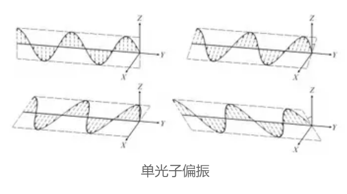 微信截图_20231210210934